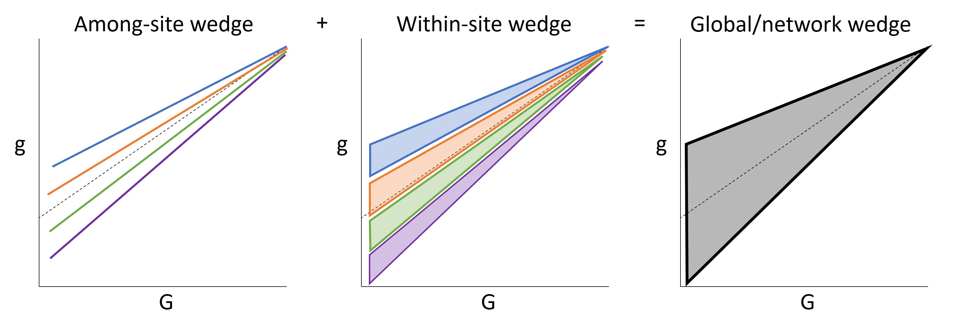 The Wedge Hypothesis - general